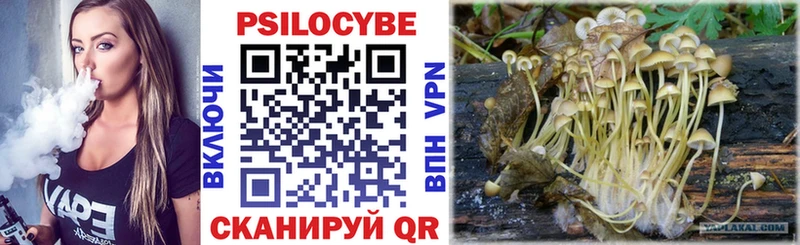 Галлюциногенные грибы Magic Shrooms  Ефремов 