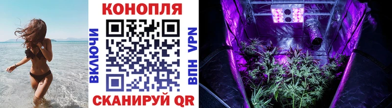 хочу наркоту  Ефремов  Канабис AK-47 